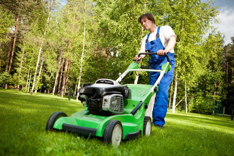 Big lawn mowers