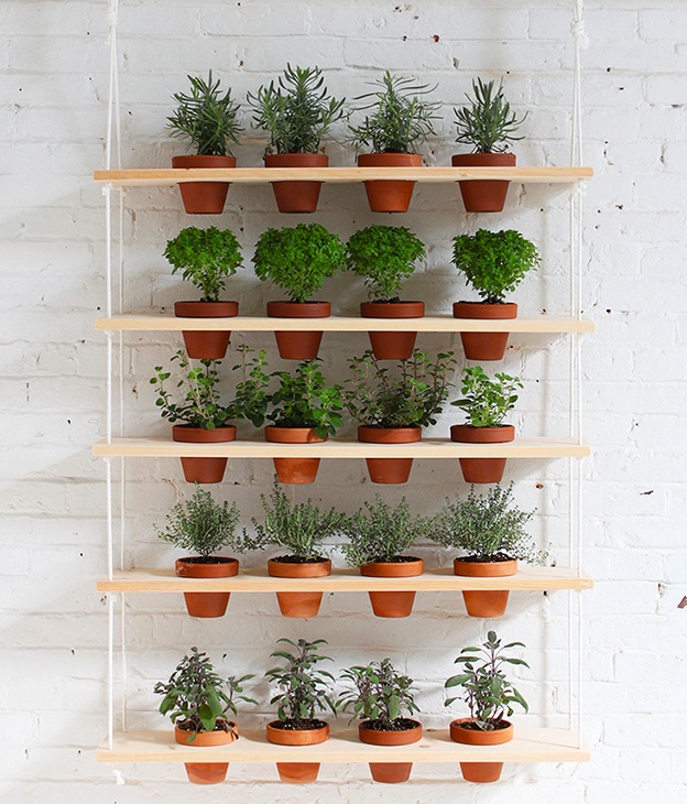 Home herb garden ideas