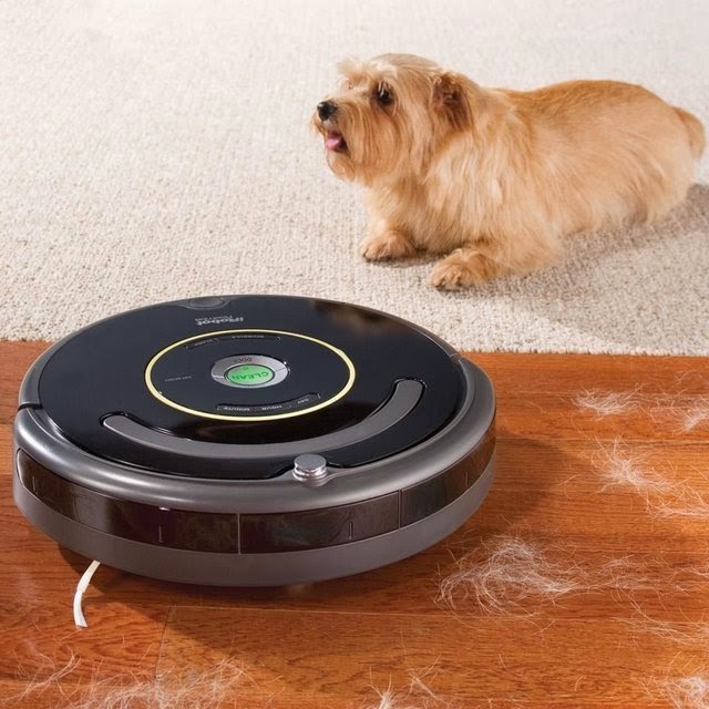 Best home vacuum for pets