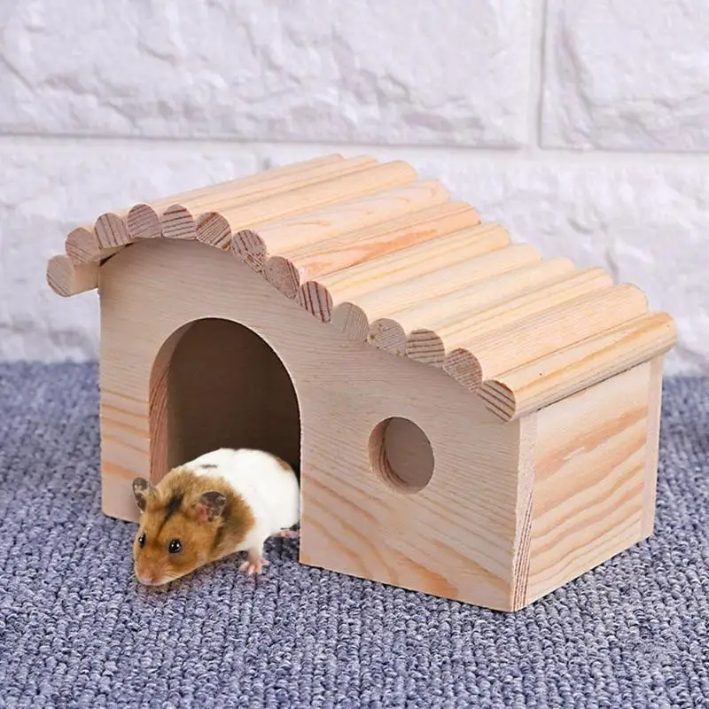 House for hedgehogs