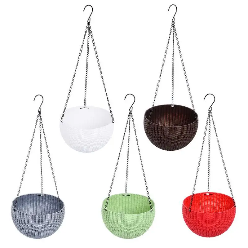 Sun hanging baskets