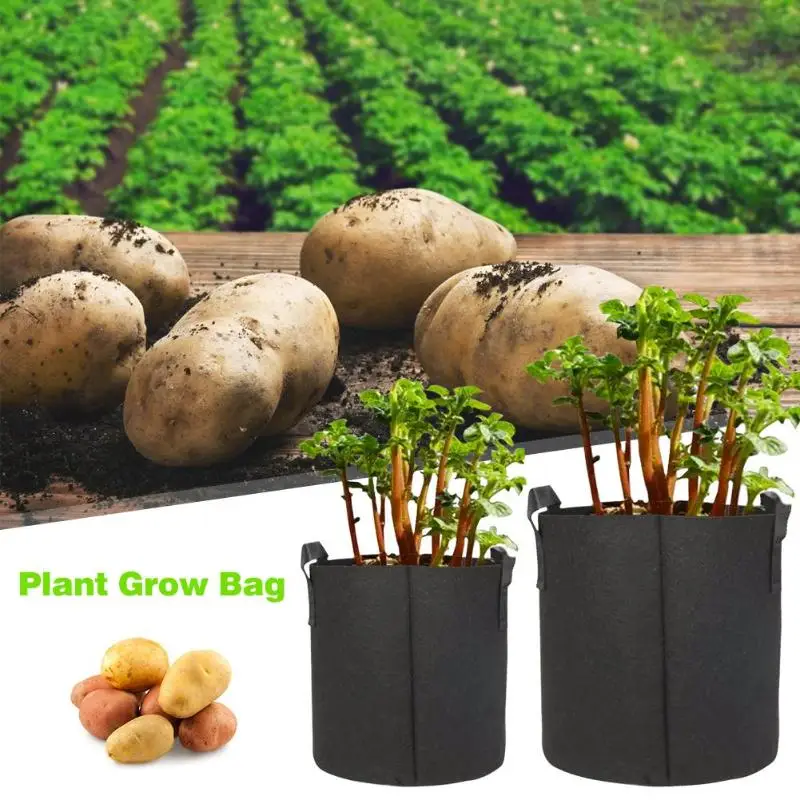 How to use potato growing bags