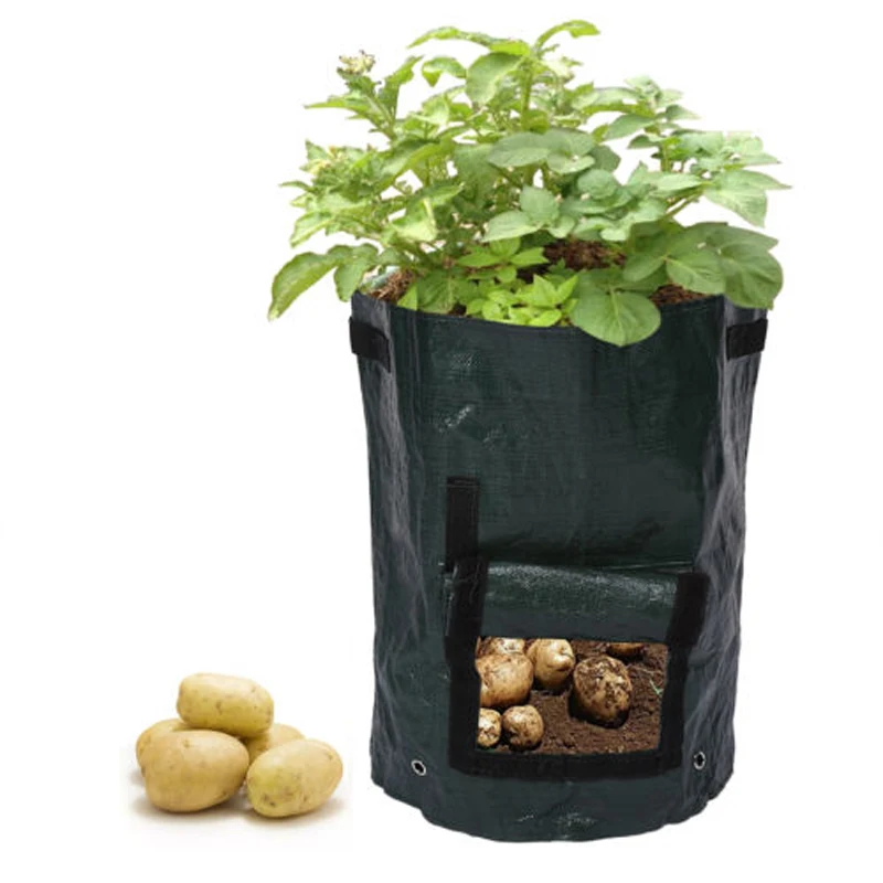 How to use potato growing bags