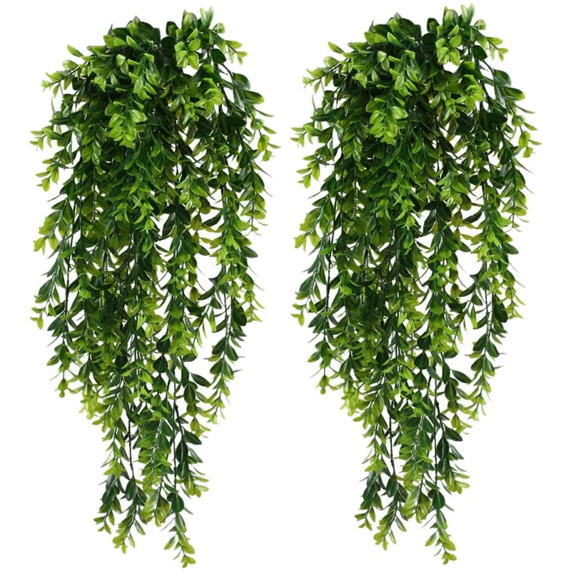 Best full sun hanging plants