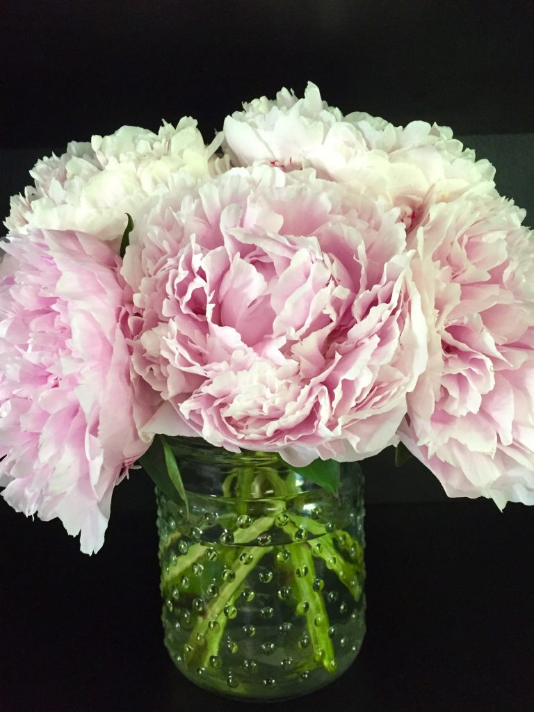 When can i cut peonies back