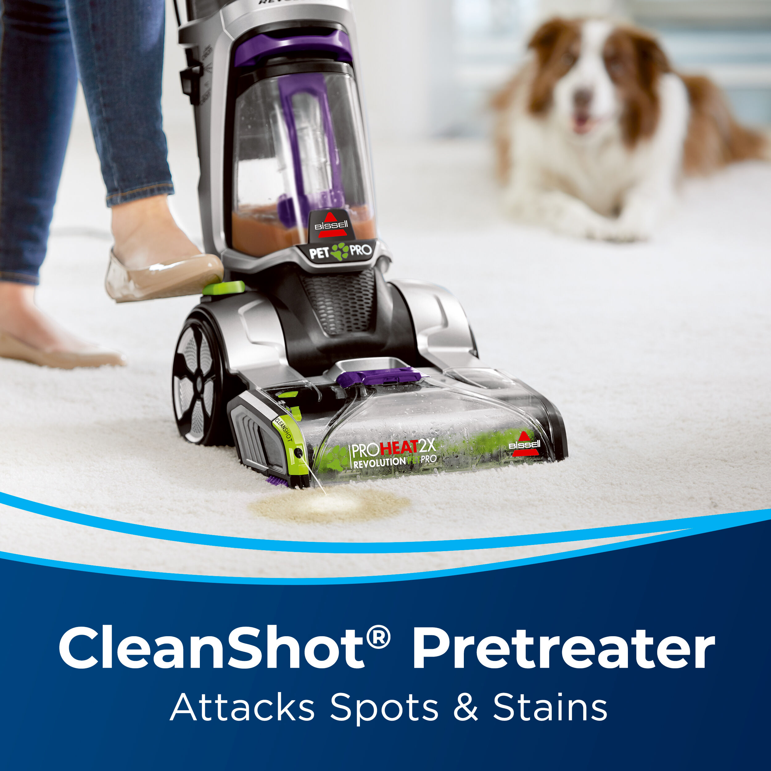 Top rated vacuum for pet hair