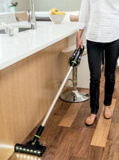 Bissell icon pet cordless vacuum reviews