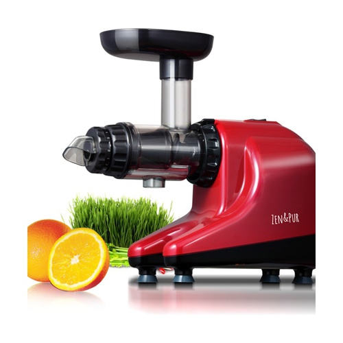 Best horizontal juicer