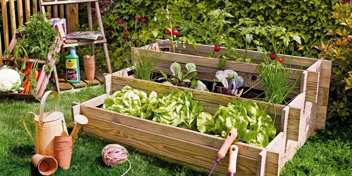 Vegetable container gardening ideas pictures