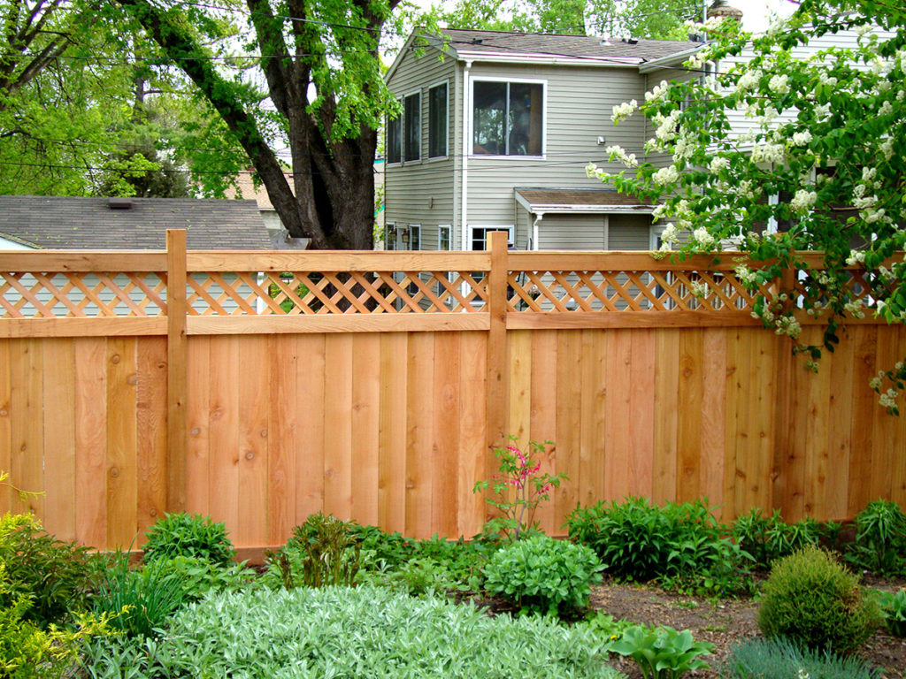Best trees for fences