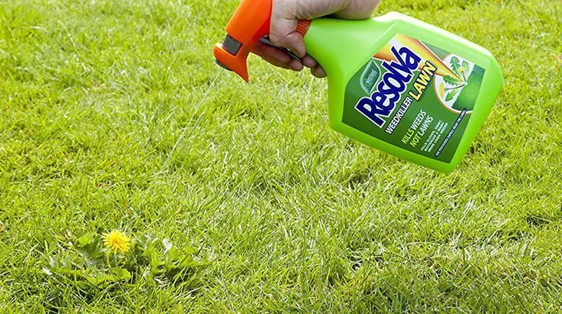 Get rid of clovers in grass