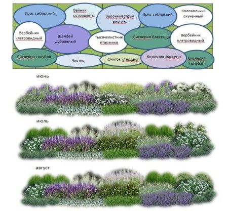 How to plan a flower garden layout