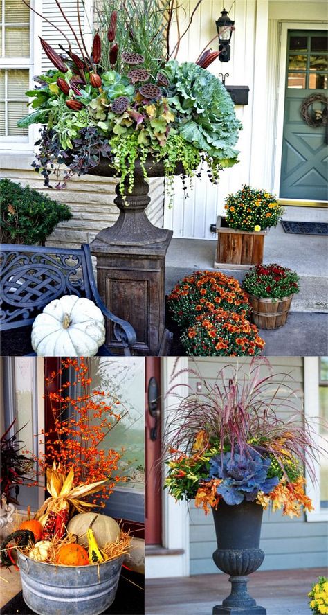 Fall flowers potted