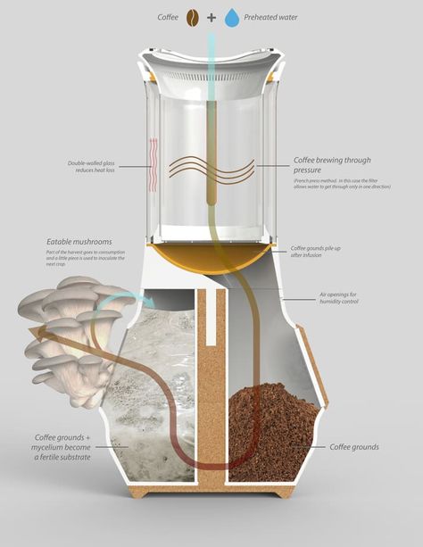 Is leftover coffee good for plants