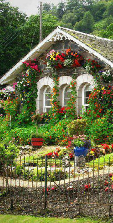 Front yard cottage garden