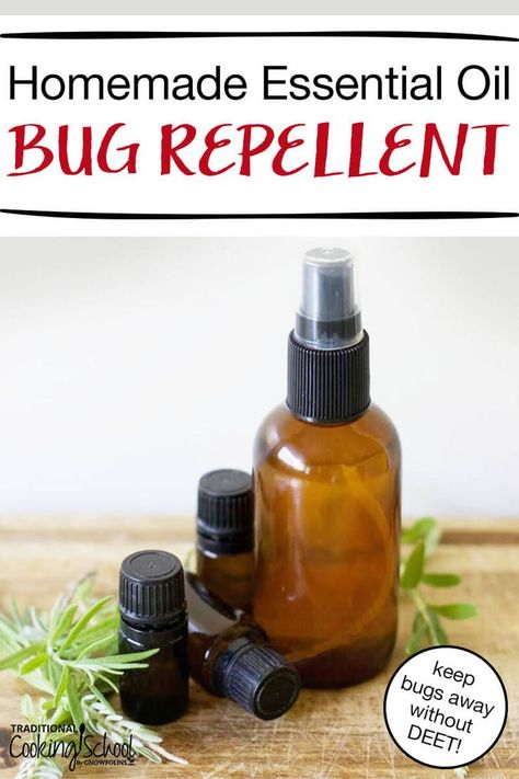 Homemade bug spray plants