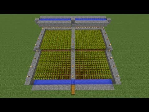 Easiest crops to farm