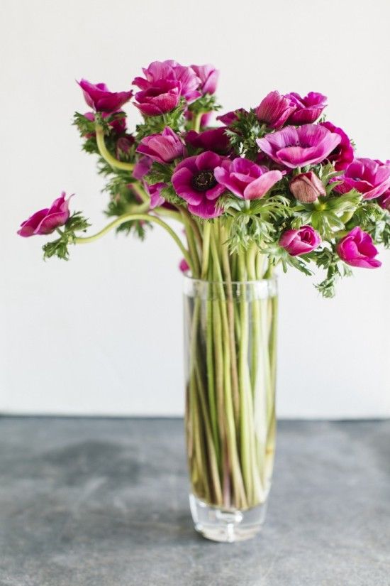 How to keep flowers fresh in a vase