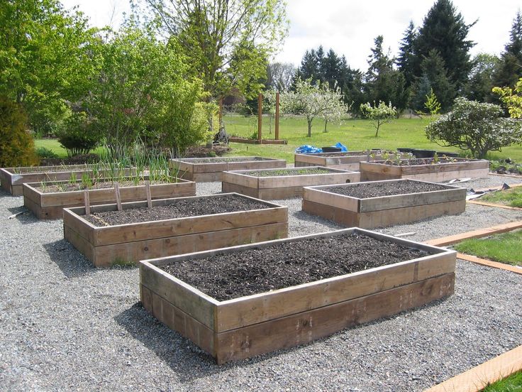 Vegetable garden layout ideas