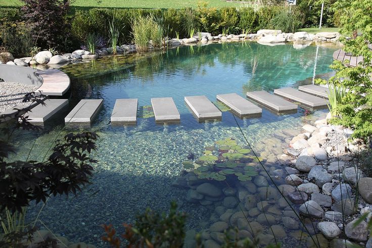 Pond swimming pool design