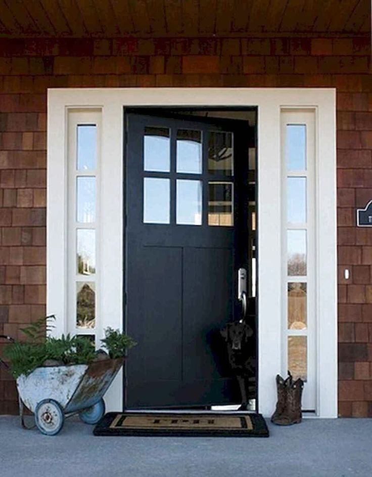 Entry doors ideas