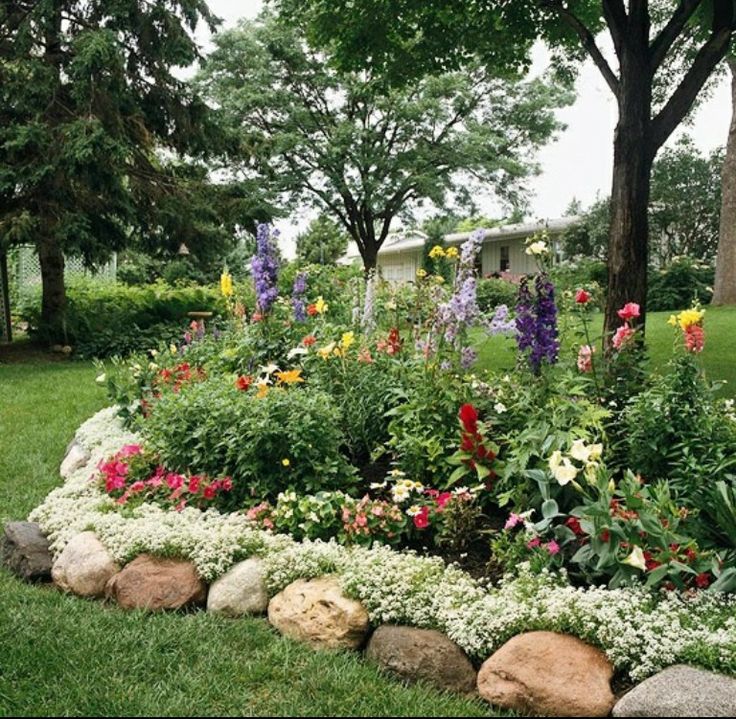 Flower bed options