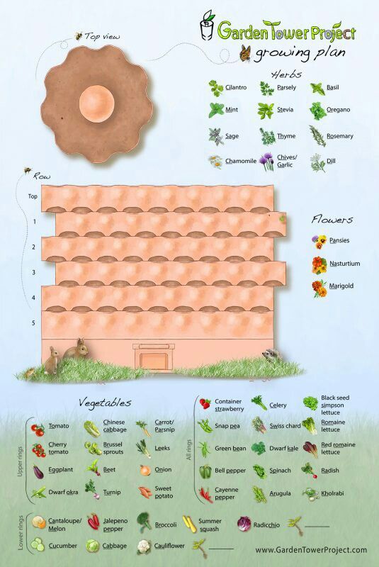 Planning your garden