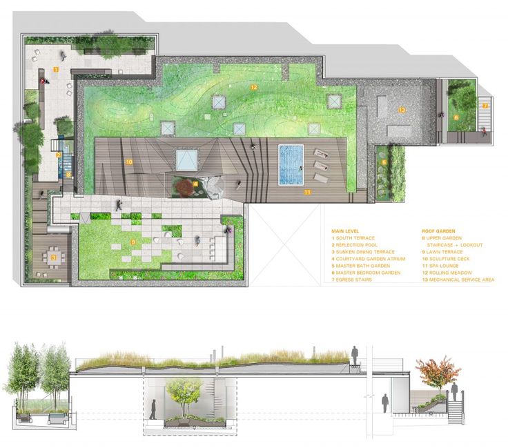 How to plan a rose garden