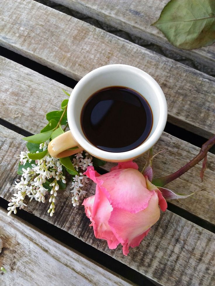 Coffee grounds for flowers