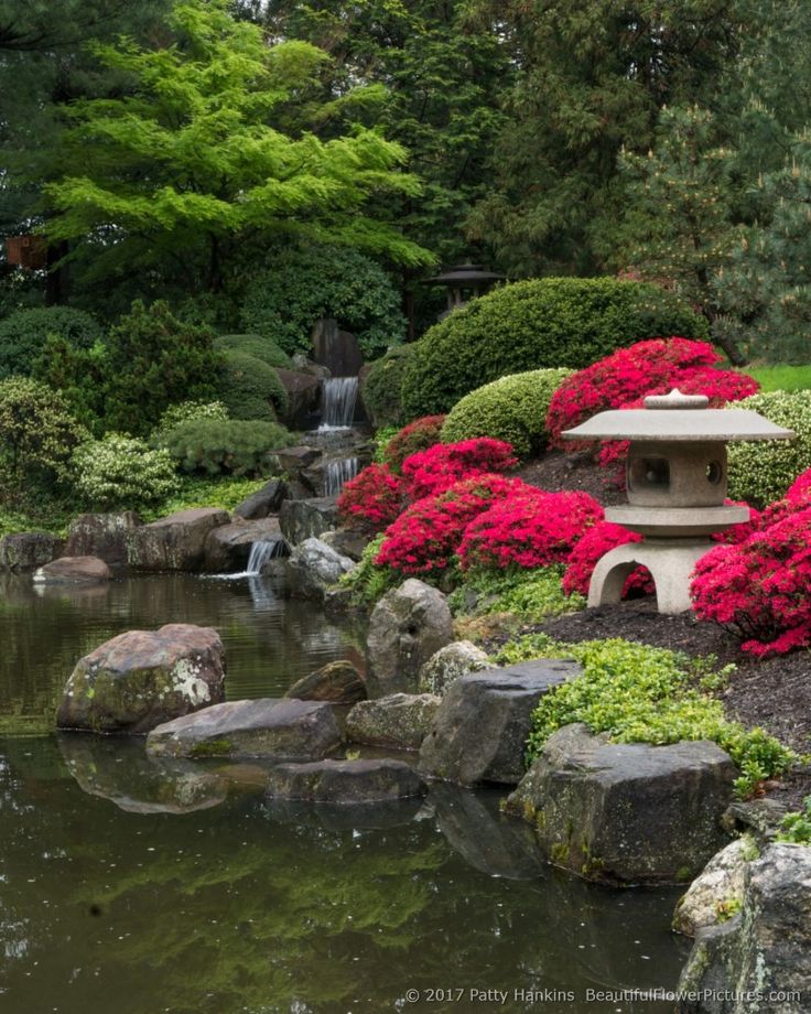 Japanese garden pond design