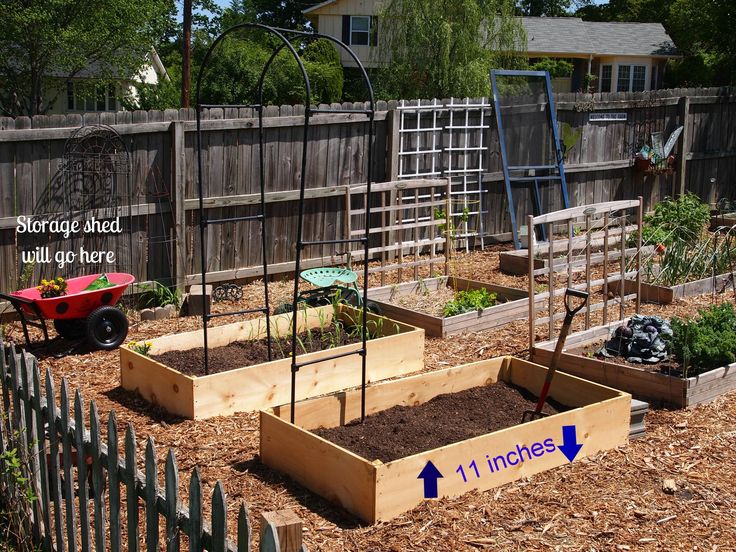 Vegetable garden layout ideas