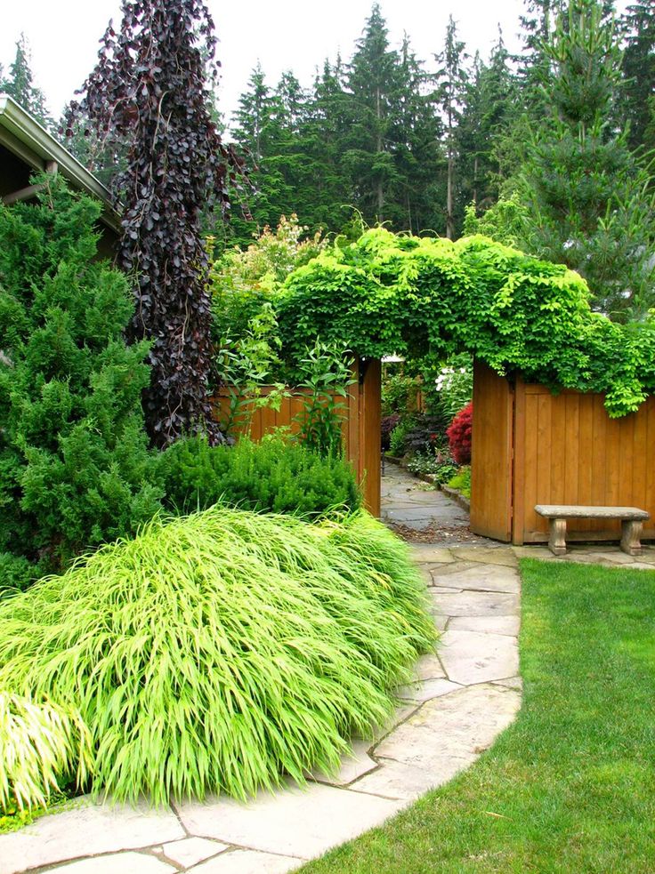 Outdoor ornamental trees