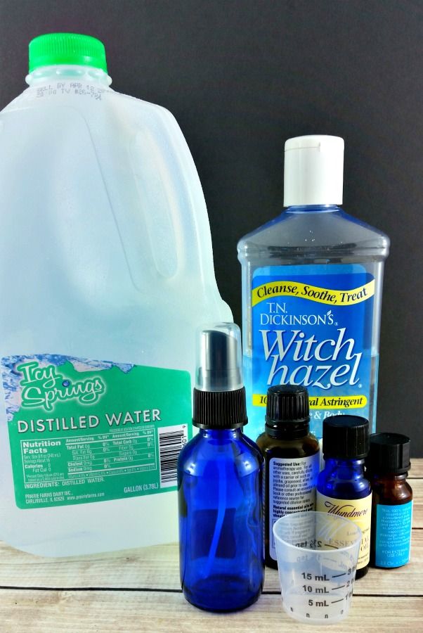 Homemade bug spray for house