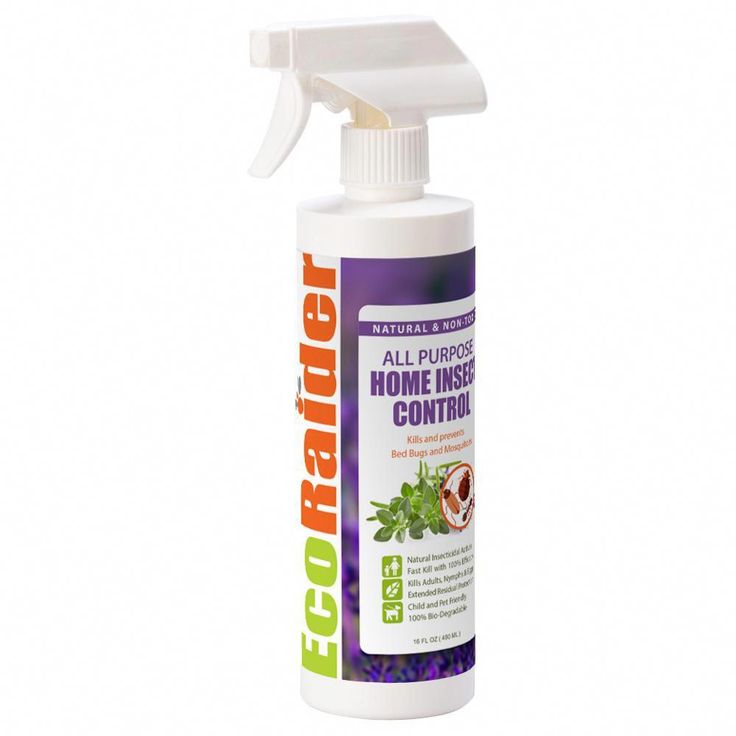 Best spray for bugs at home