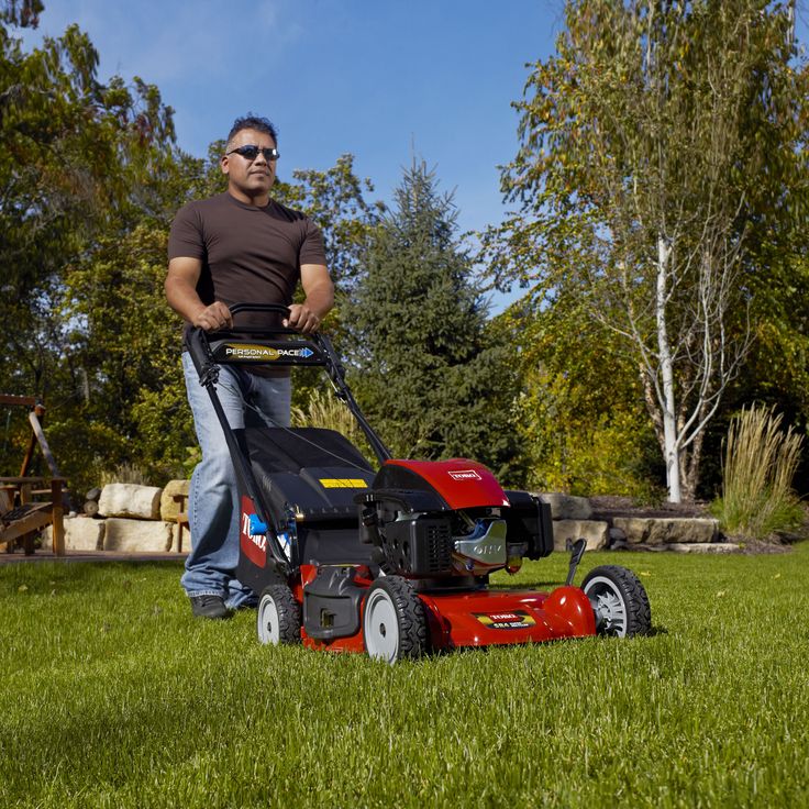 Top 10 best lawn mowers