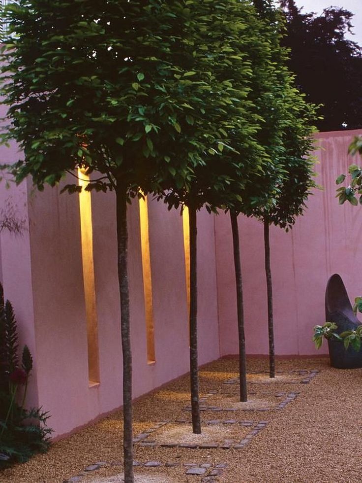 Privacy trees ideas