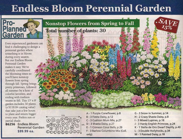 Plan a flower garden