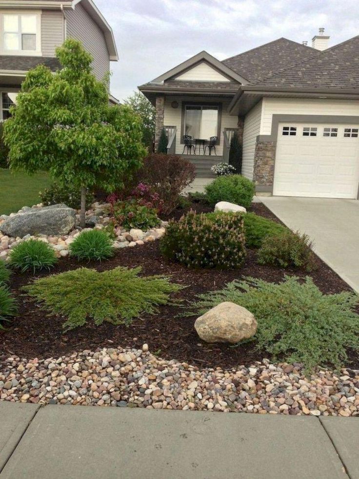 Bush ideas for landscaping