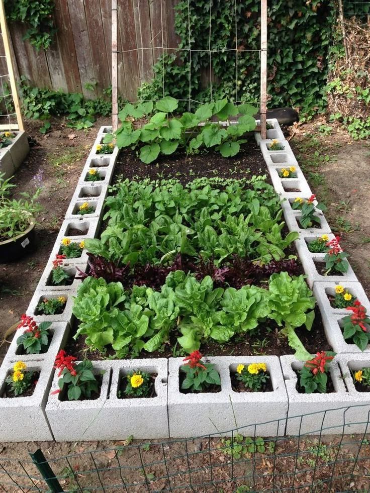 Small patio vegetable garden ideas