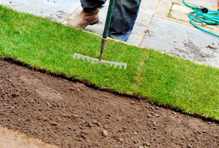 How to fix lawn patches