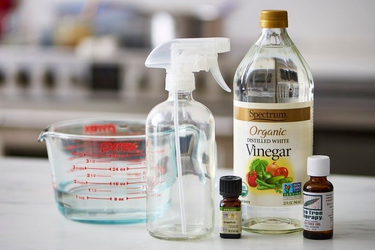 Cleaning kitchen with vinegar