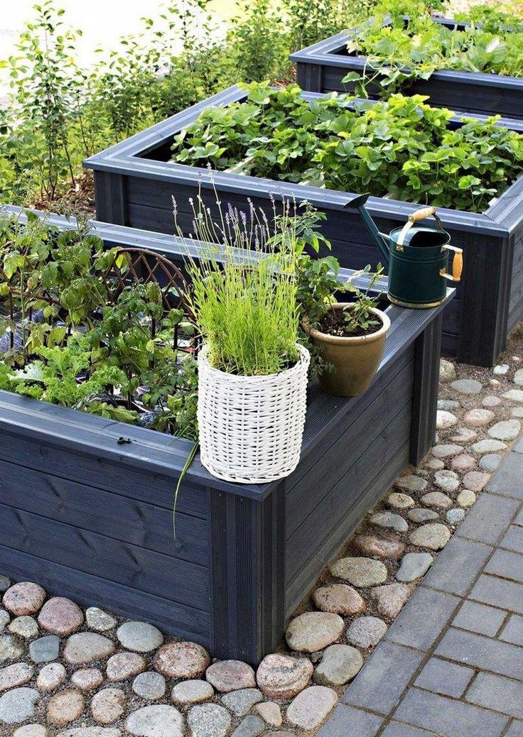 Container vegetable garden layout