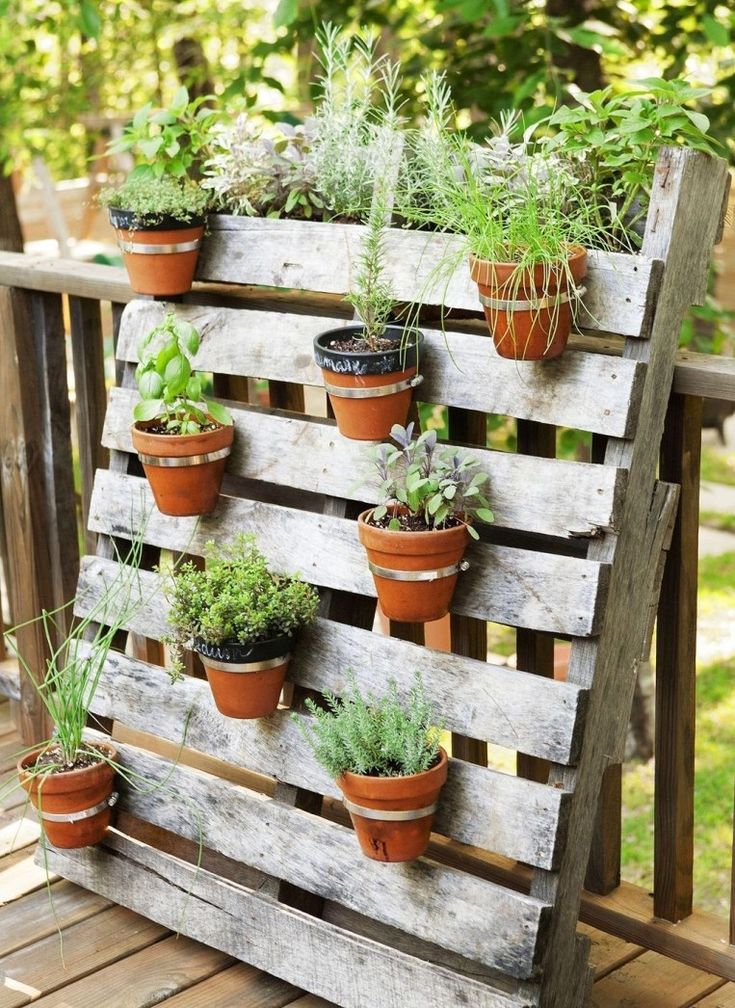 Ideas for gardening