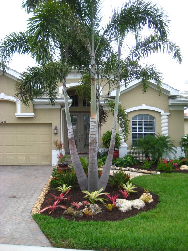 Good front yard trees