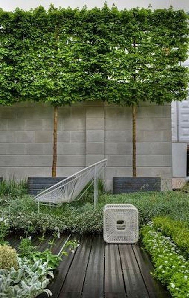 Outdoor garden trees