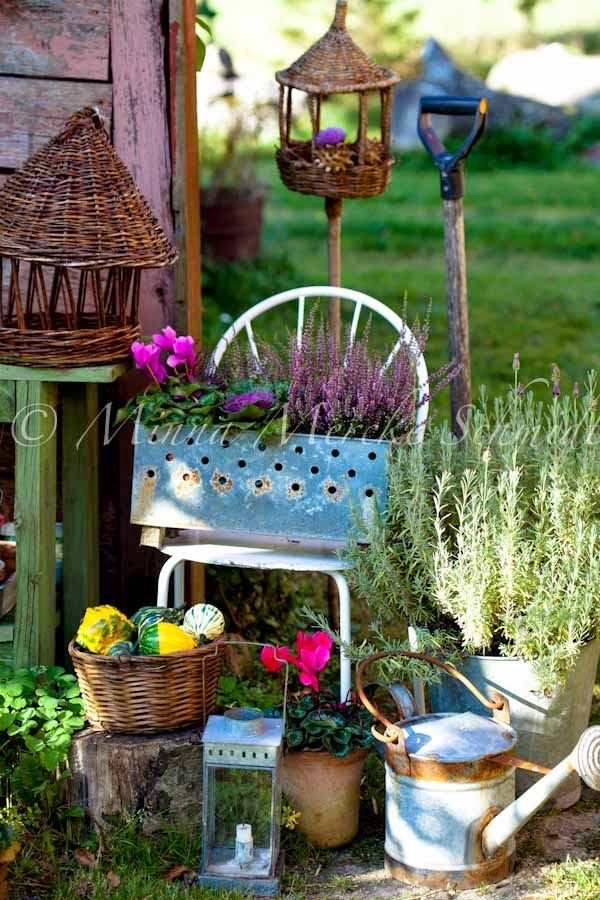 Country gardening ideas