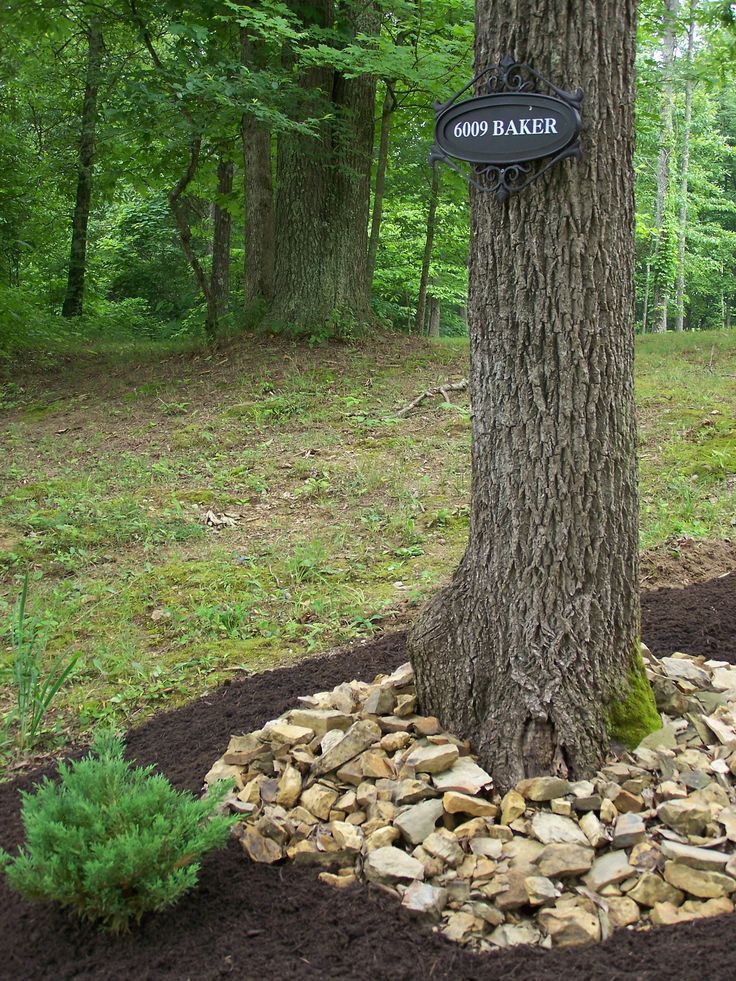 Landscape rocks around trees