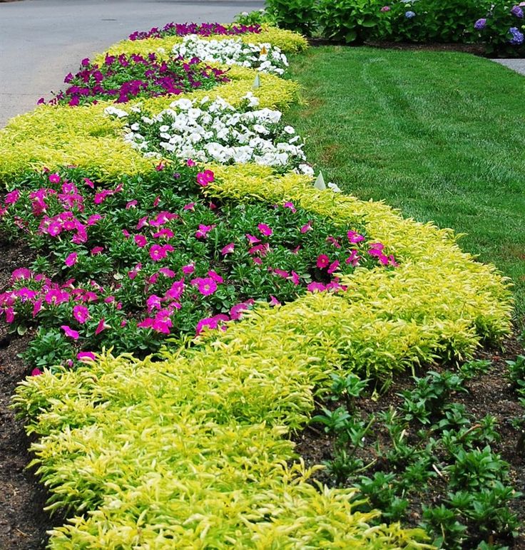 Flower bed options