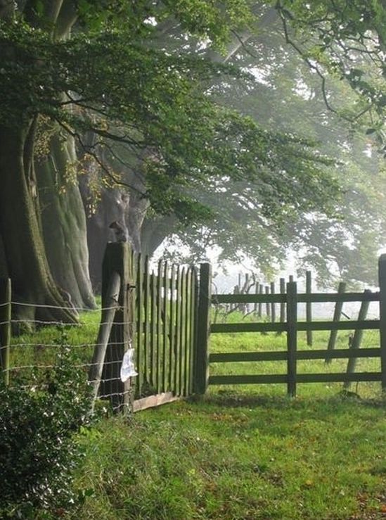 Country garden fences