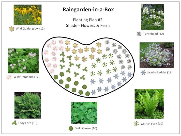 How to plan a flower garden layout